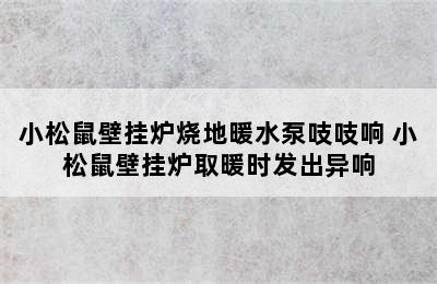 小松鼠壁挂炉烧地暖水泵吱吱响 小松鼠壁挂炉取暖时发出异响